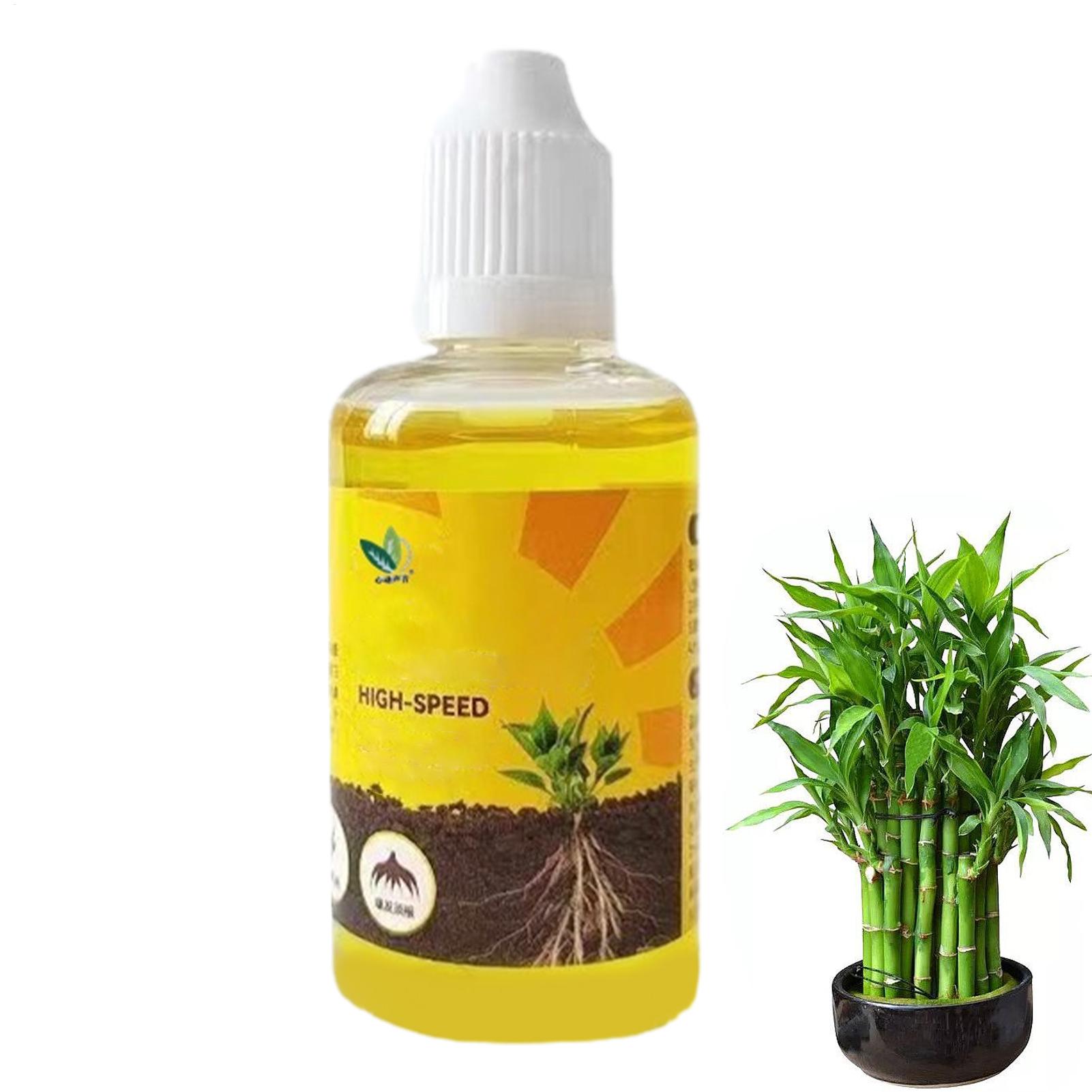 Root Stimulator Liquid - Pflanzenwurzelstimulator Flüssiger Pflanzenwurzelverstärker Flüssiger Schnellwurzelungsmittel Flüssiger
