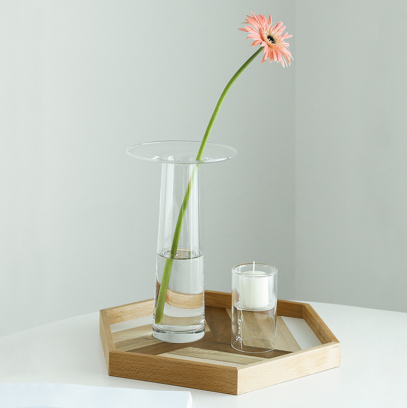 LIVETAI Transparente T-förmige – Propagation Station Vase Bewertung und Preis