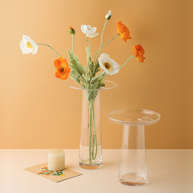 LIVETAI Transparente T-förmige – Propagation Station Vase Bewertung und Preis