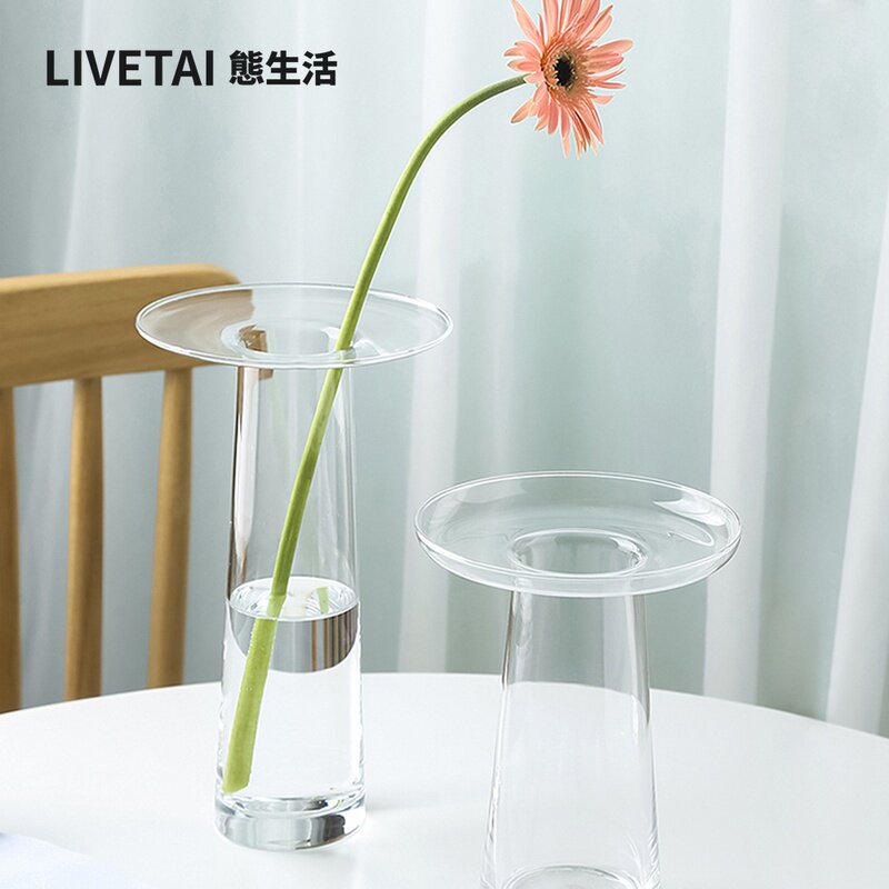 LIVETAI Transparente T-förmige – Propagation Station Vase Bewertung und Preis