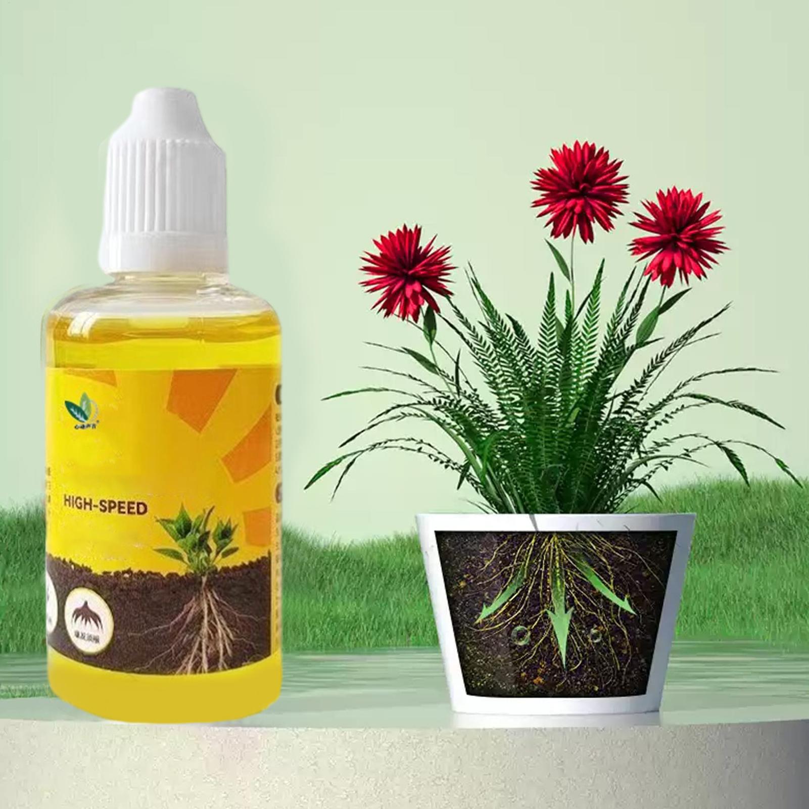 Pflanzenwurzelstimulator Flüss – Root Stimulator Liquid Bewertung und Preis