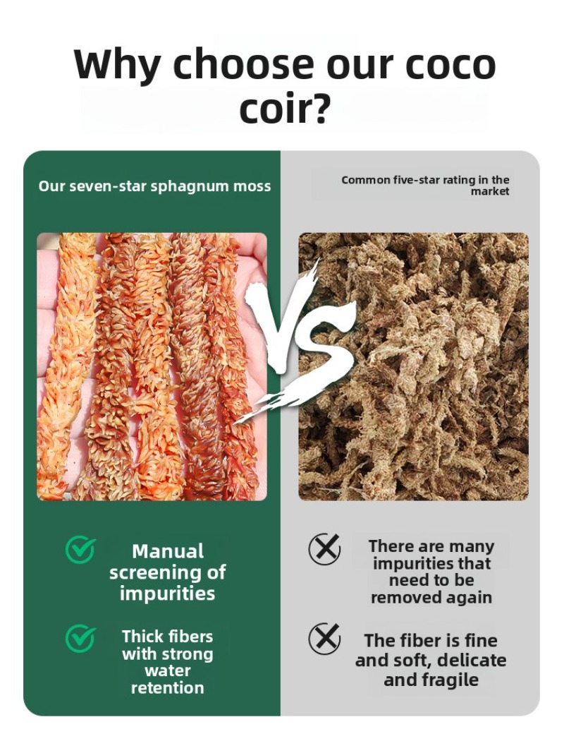 Chilenisches Sphagnum-Moos 100 – Sphagnum Moss Dry Bewertung und Preis