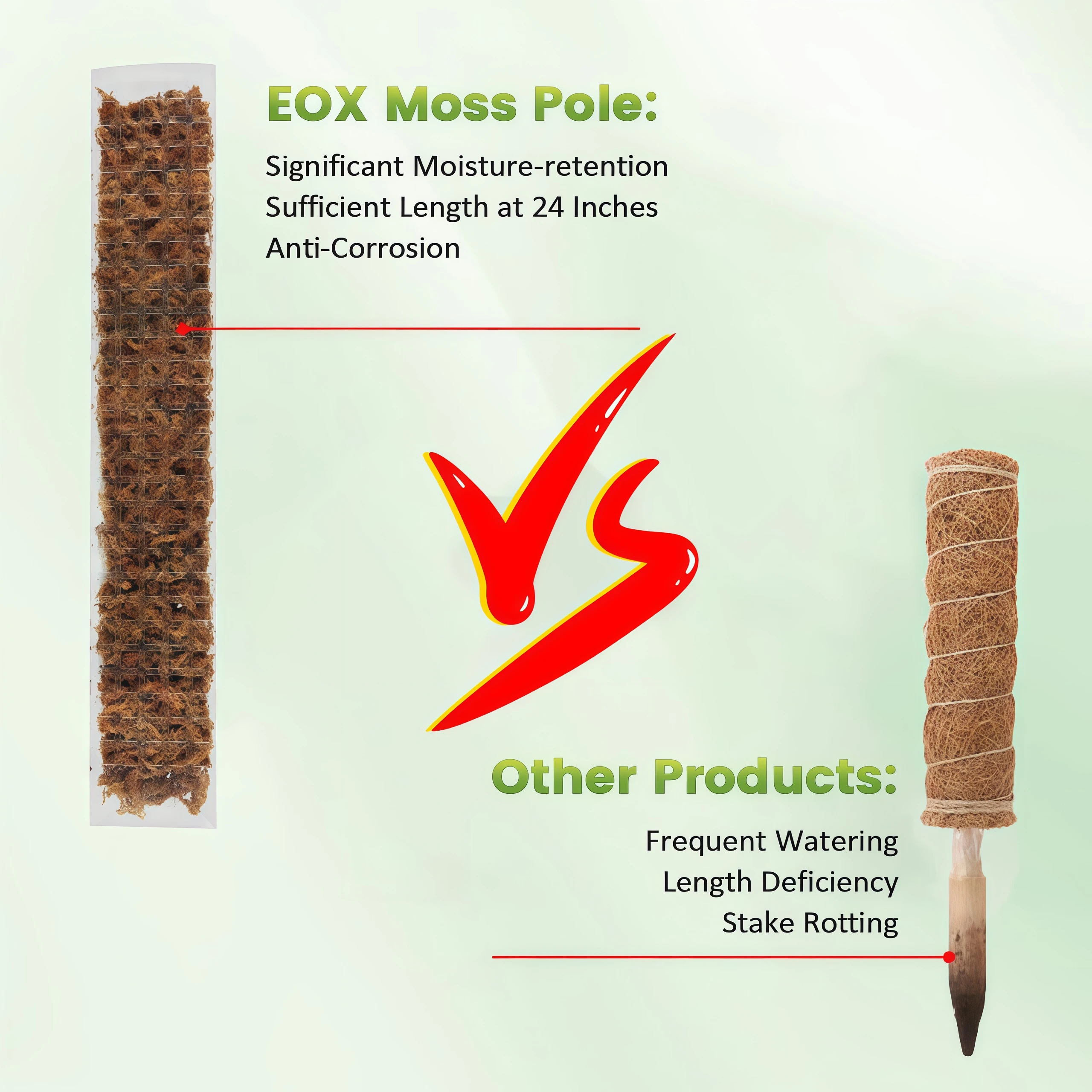 Moosstange für Pflanzenwachstu – Sphagnum Moss Dry Bewertung und Preis
